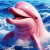 Pink Bottlenose Dolphin Diamond Painting