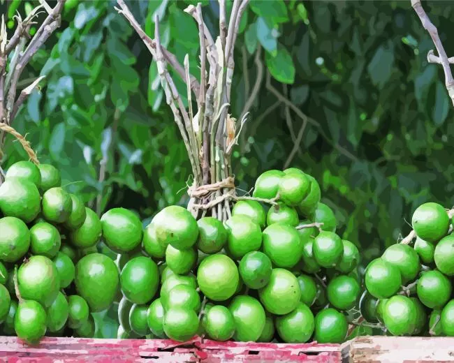 Spanish Lime Diamond Dotz Spanish Lime Diamond Painting