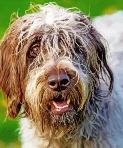 Wirehaired Pointing Griffon Diamond Painting