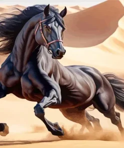 Black Arabian Horse Diamond Painting