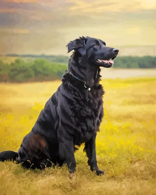 black irish setter dog Diamond With Numbers Black Irish Setter Dog Diamond Painting