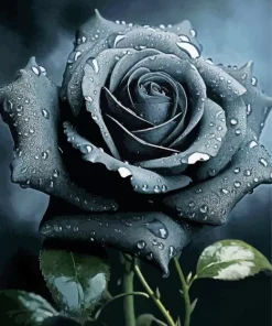Black Rose Diamond Painting