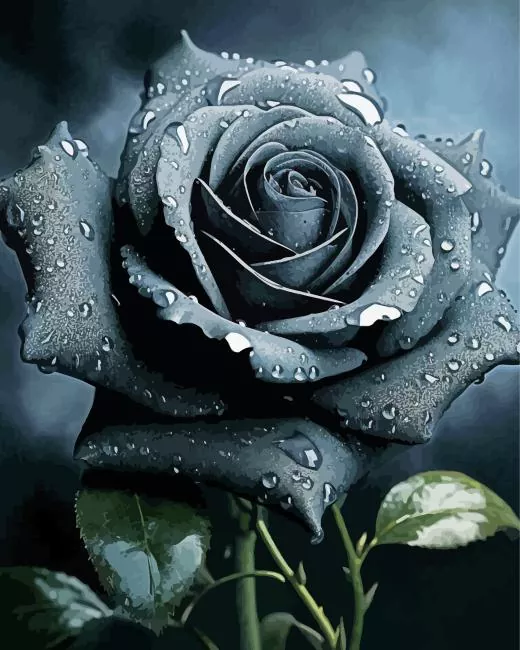 black rose Diamond By Numbers Black Rose Diamond Painting