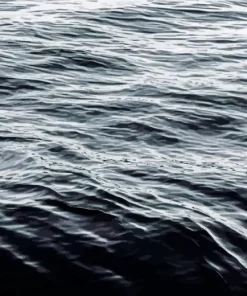 Black Water Diamond Painting