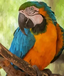 Blue And Gold Macaw Diamond Painting