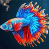 Blue Betta Fish Diamond Painting