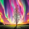 Borealis Tree Diamond Painting