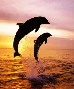 Bottlenose Dolphins Silhouette Diamond Painting