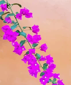 Bougainvillea Branch Diamond Painting