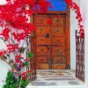 Bougainvillea Front Door Diamond Painting