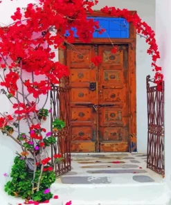 Bougainvillea Front Door Diamond Painting