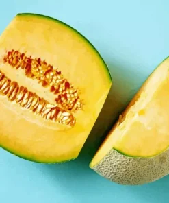 Cantaloupe Melon Diamond Painting