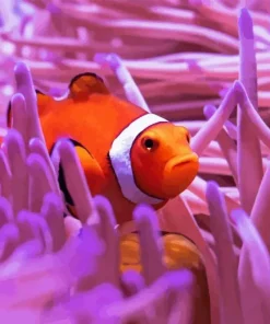 Clownfish Underwater Diamond Painting
