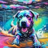 Colorful Dog Swimming Diamond Painting