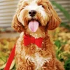 Cute Dog With Red Bow Diamond Painting