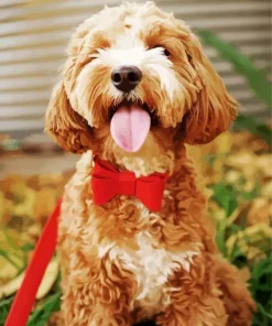 Cute Dog With Red Bow Diamond Painting