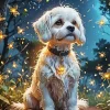Cute Maltese Art Diamond Painting