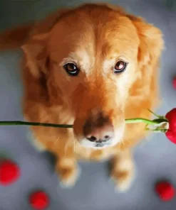 Dog Holding A Rose Diamond Painting