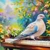 Dove Bird Diamond Painting