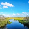 Everglades National Park Diamond Painting