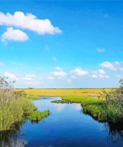 Everglades National Park Diamond Painting