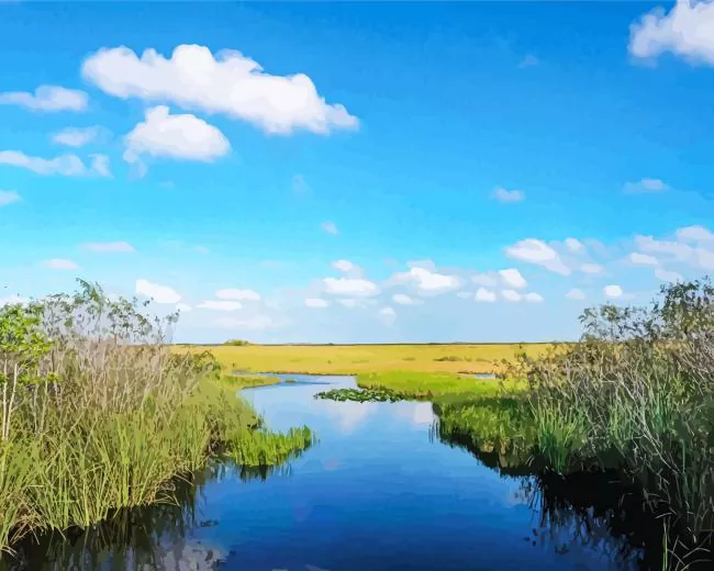everglades national park Diamond By Numbers Everglades National Park Diamond Painting