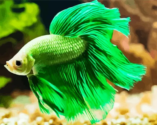 green fighter fish art Diamond Paints Green Fighter Fish Art Diamond Painting