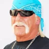 Hulk Hogan Diamond Painting