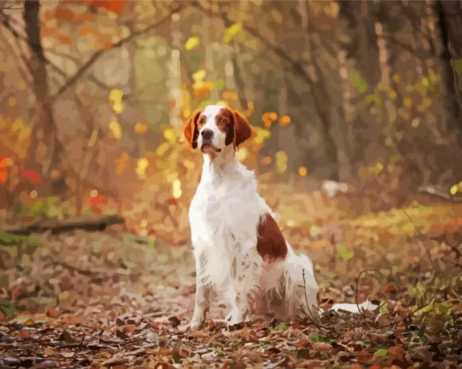 irish red and white setter Diamond Dotz Irish Red And White Setter Diamond Painting