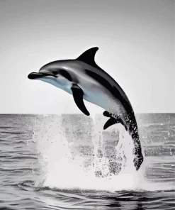 Jumping Dolphin Diamond Painting