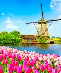 Kinderdijk Tulips Diamond Painting