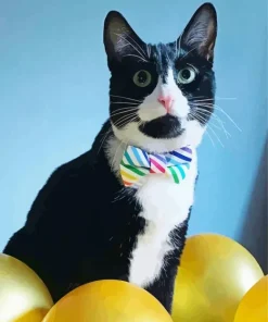Kitten With Bow Tie Diamond Painting