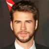 Liam Hemsworth Diamond Painting