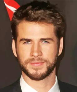 Liam Hemsworth Diamond Painting