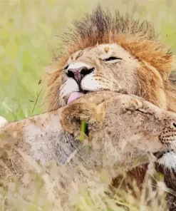 Lion And Lioness Lovers Diamond Painting