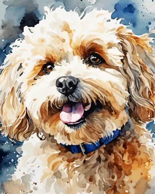 maltipoo dog art Diamond By Numbers Maltipoo Dog Art Diamond Painting