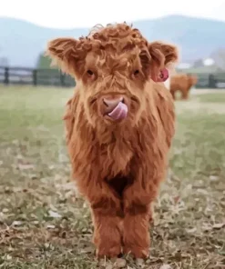 Miniature Cow Diamond Painting