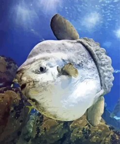 Mola Fish Diamond Painting