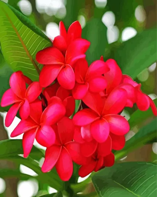 plumeria flowers Diamond Dotz Plumeria Flowers Diamond Painting