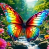 Rainbow Butterfly Diamond Painting