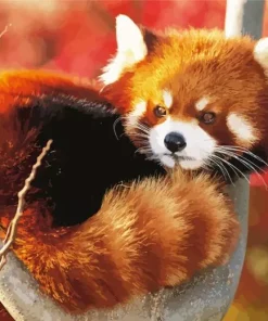 Red Panda Diamond Painting