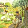 Shepherd Boy Diamond Painting