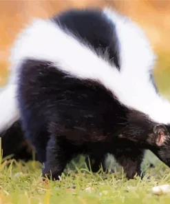 Striped Skunk Diamond Painting