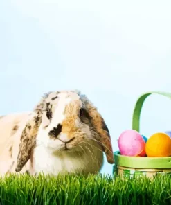 The Easter Bunny Diamond Painting