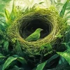 Tree Bird Nest Diamond Painting