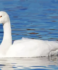 Tundra Swan Diamond Painting