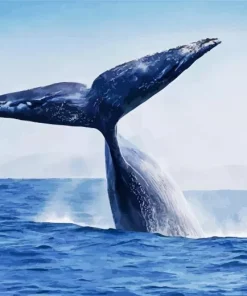 Whale Tail Diamond Painting