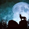 Wolf In The Moon Diamond Painting