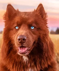 Brown Husky Diamond Painting