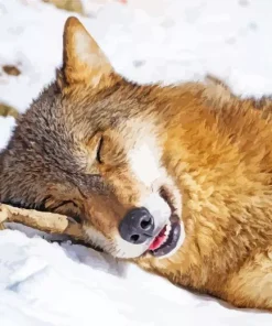 Brown Wolf Diamond Painting